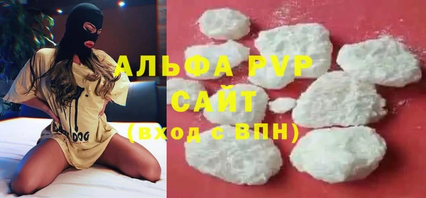 стаф Касимов