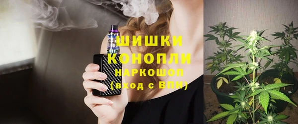сатива Карталы