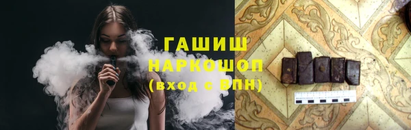 стаф Касимов
