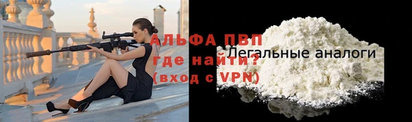 стаф Касимов