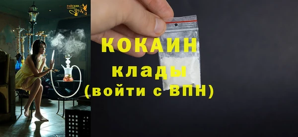 стаф Касимов