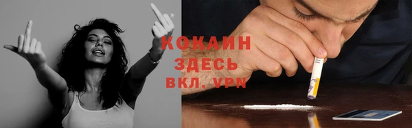 стаф Касимов