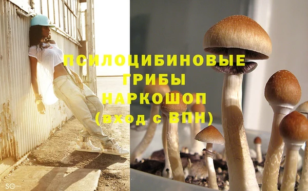 гашиш Карпинск