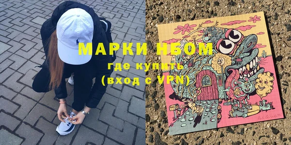 сатива Карталы