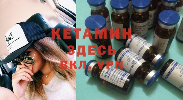 стаф Касимов