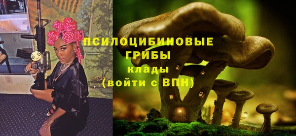 гашиш Карпинск