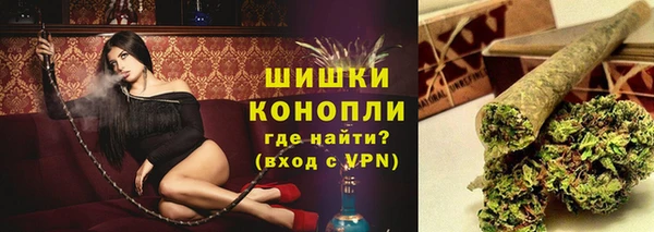 стаф Касимов