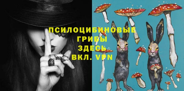 сатива Карталы