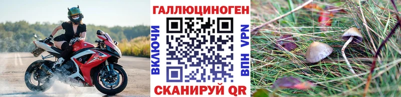 Псилоцибиновые грибы мухоморы  Камышин 