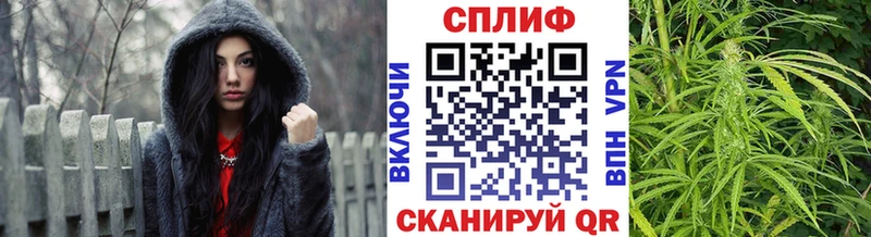 Бошки марихуана планчик  мега ссылки  Камышин  это какой сайт  наркота 